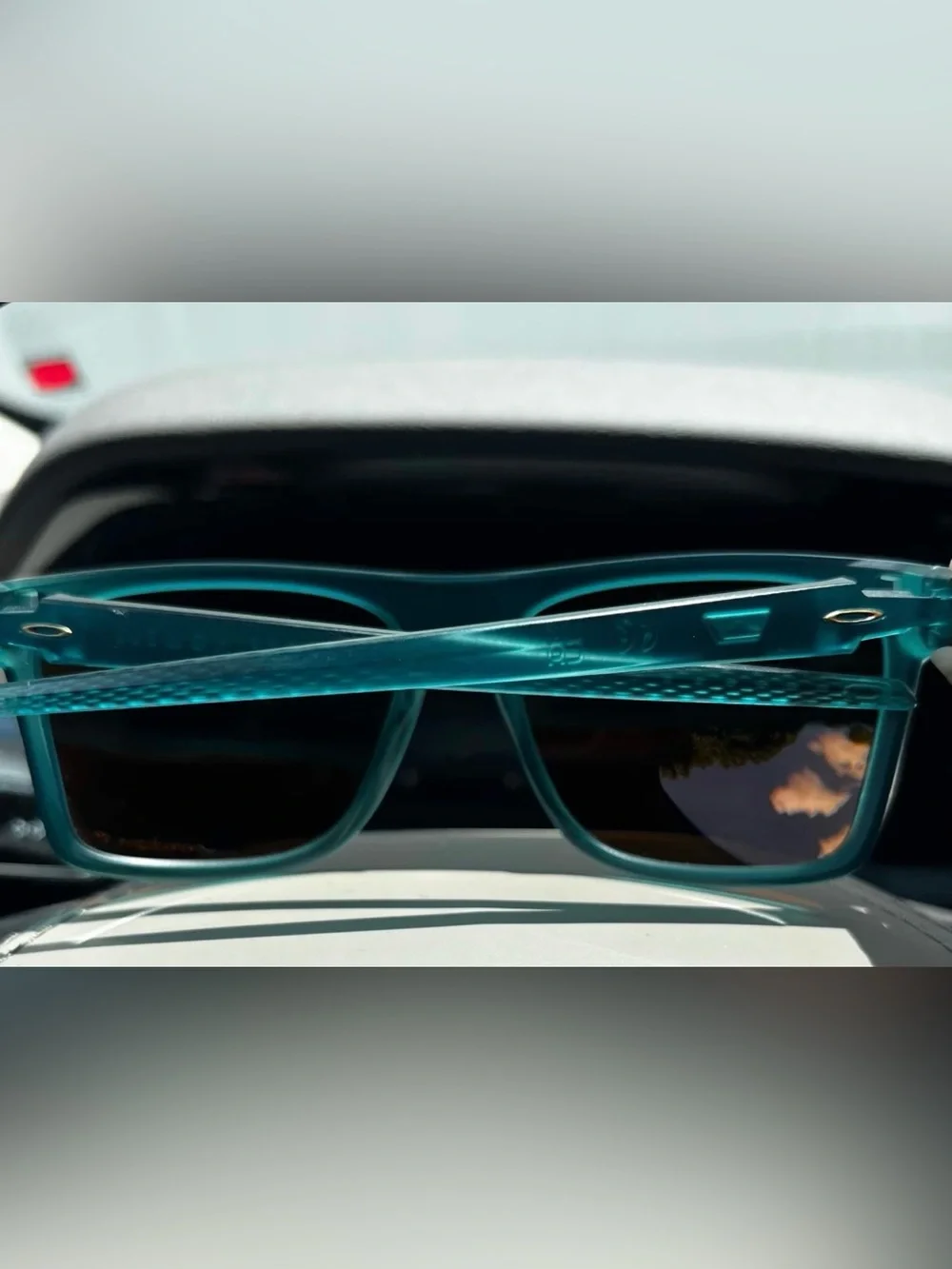 Oakley Leffingwell OO9100